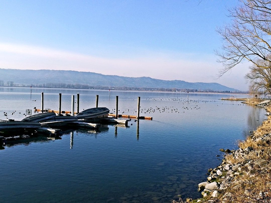 Lake Constance (Bodensee)