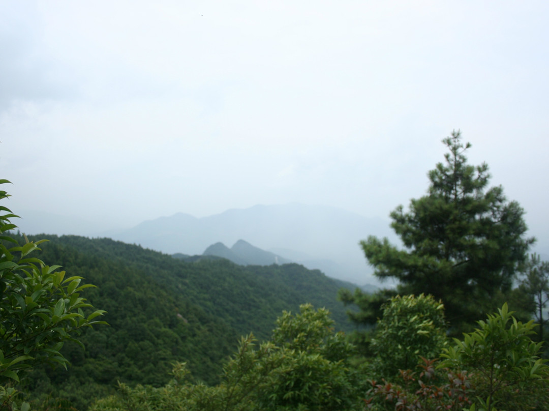 雅安花果山景点图片