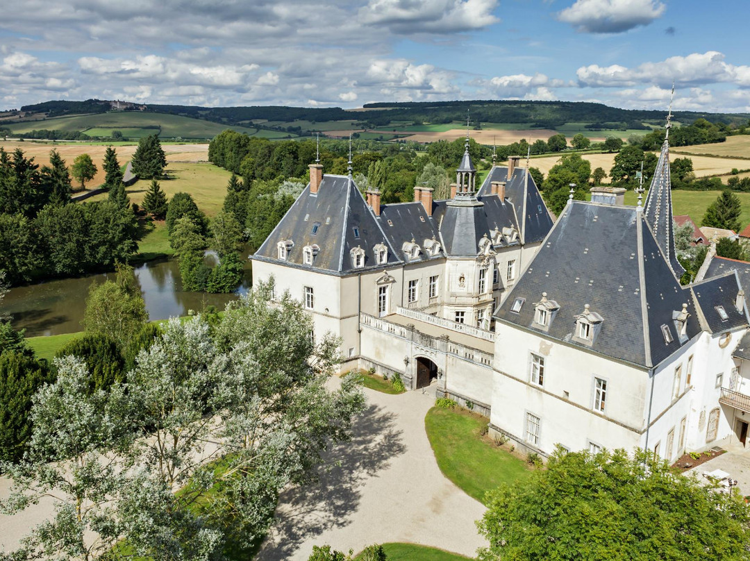 Chaudenay-le-Chateau旅游攻略图片