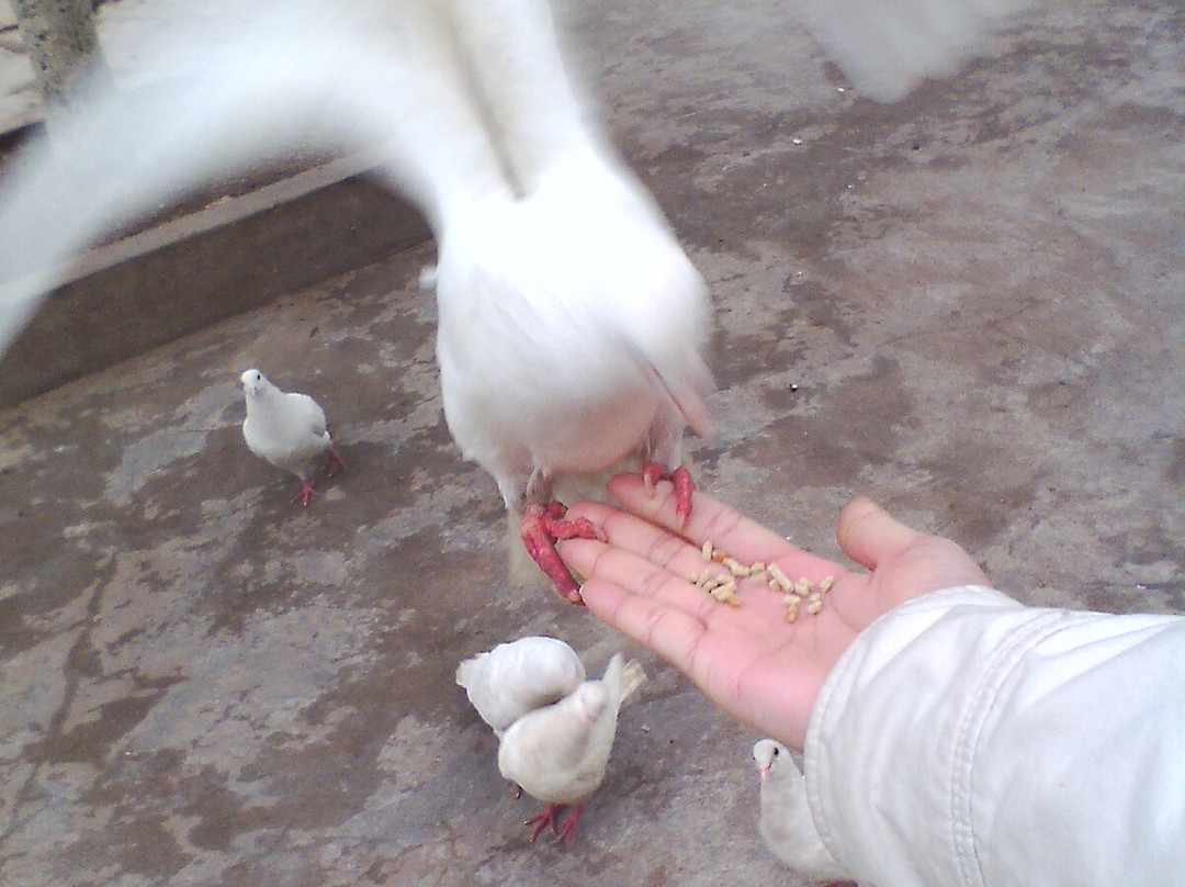 衡阳西湖公园-衡阳市必去景点