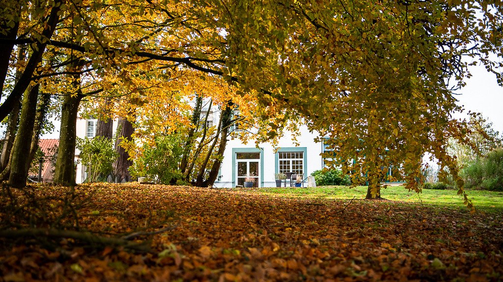Logis Hôtel la Sapinière-官方