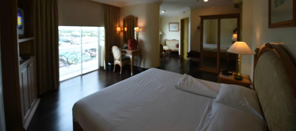 圣母院的大酒店-客卧