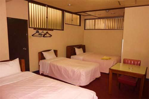 Business Hotel Maruyama
