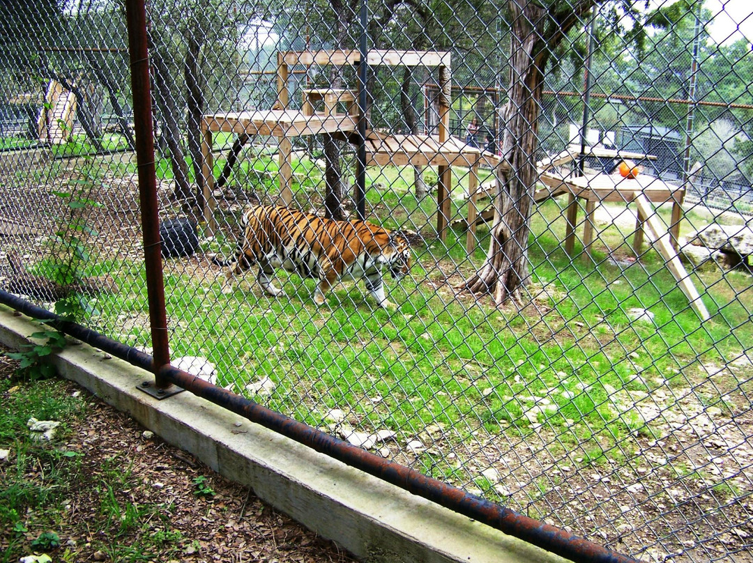 Austin Zoo景点图片