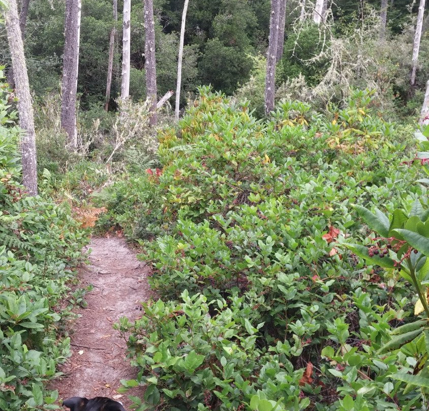 Whalen Island County Park景点图片