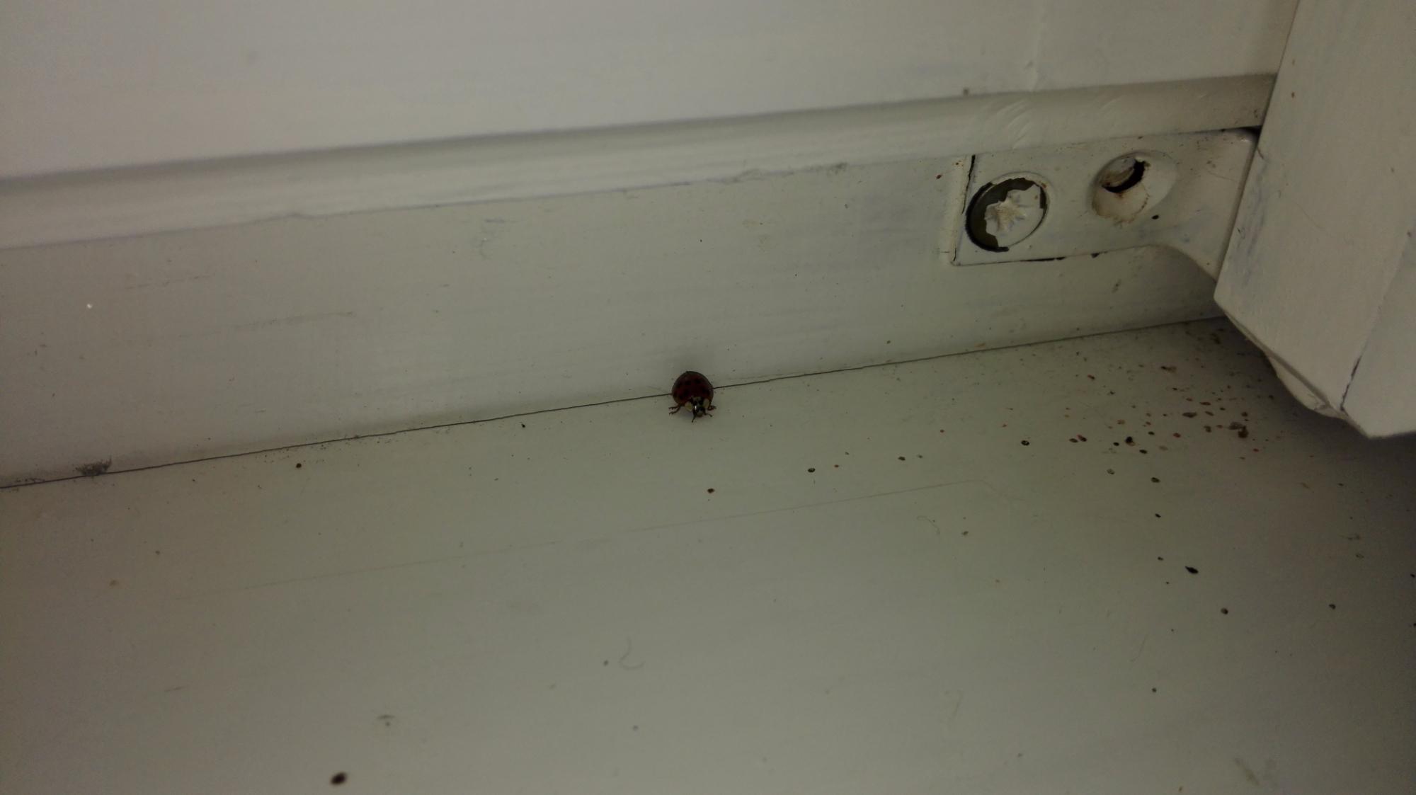 Penzion Vila Julie-官方