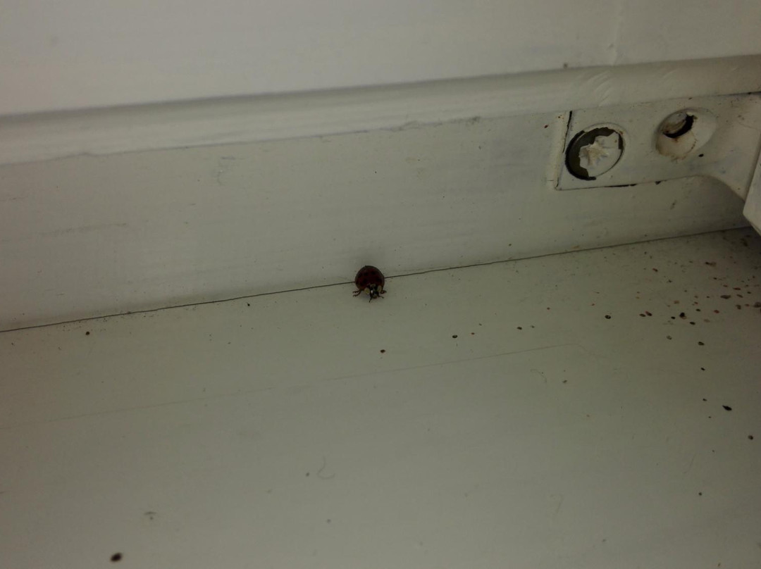 Penzion Vila Julie主图