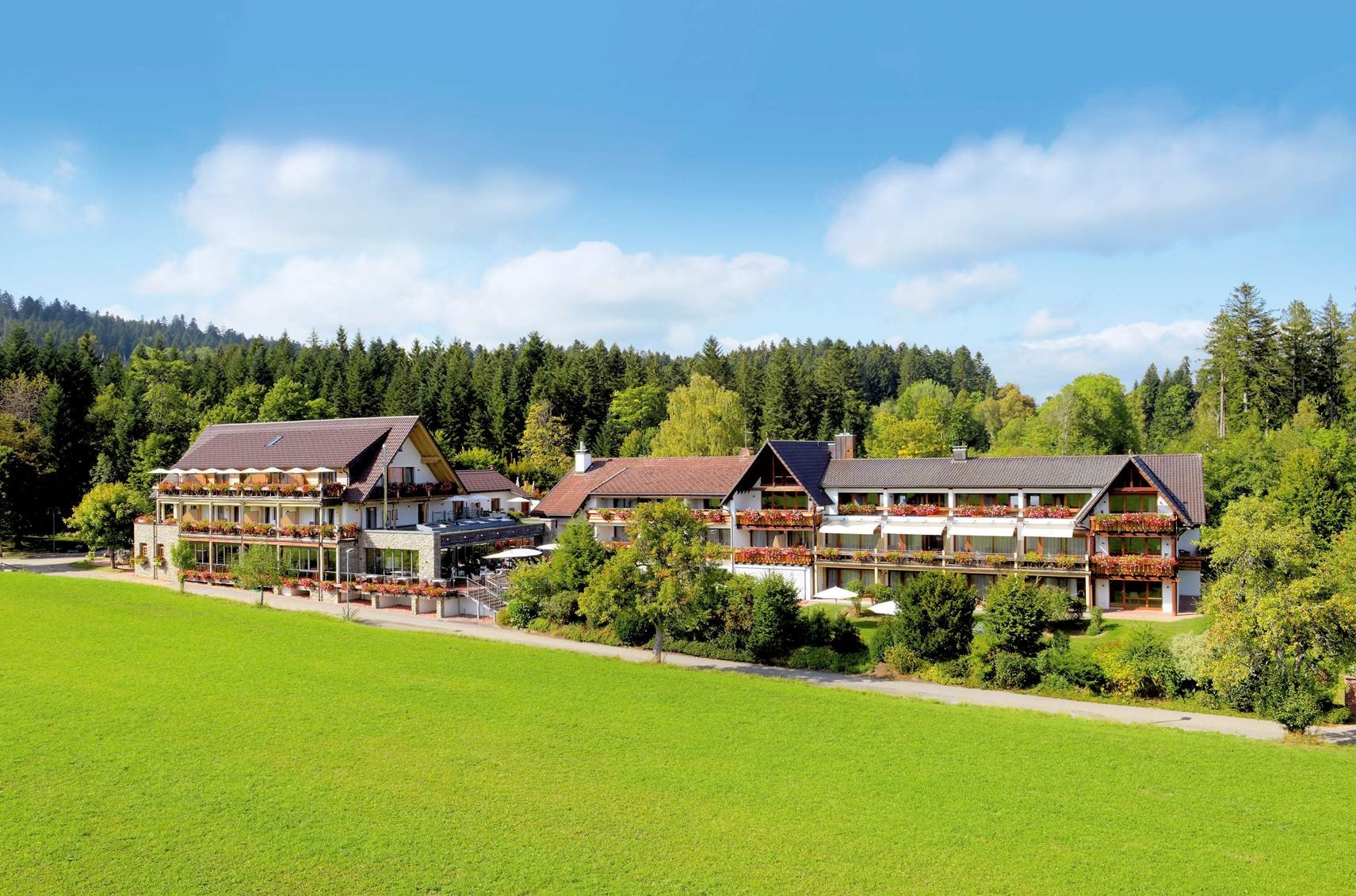 Hotel Grüner Wald-官方