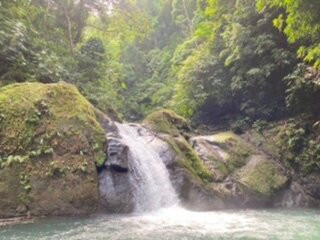 Tropical Waterfalls Tour景点图片