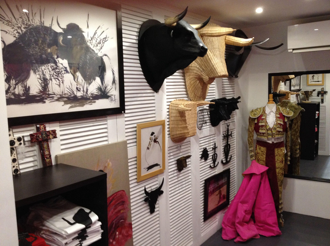 Boutique taurine Sol y Sombra, Nimes-尼姆必去景点