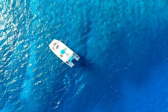 Seafari Turkoise - Dive Center-普罗维登西亚莱斯必去景点