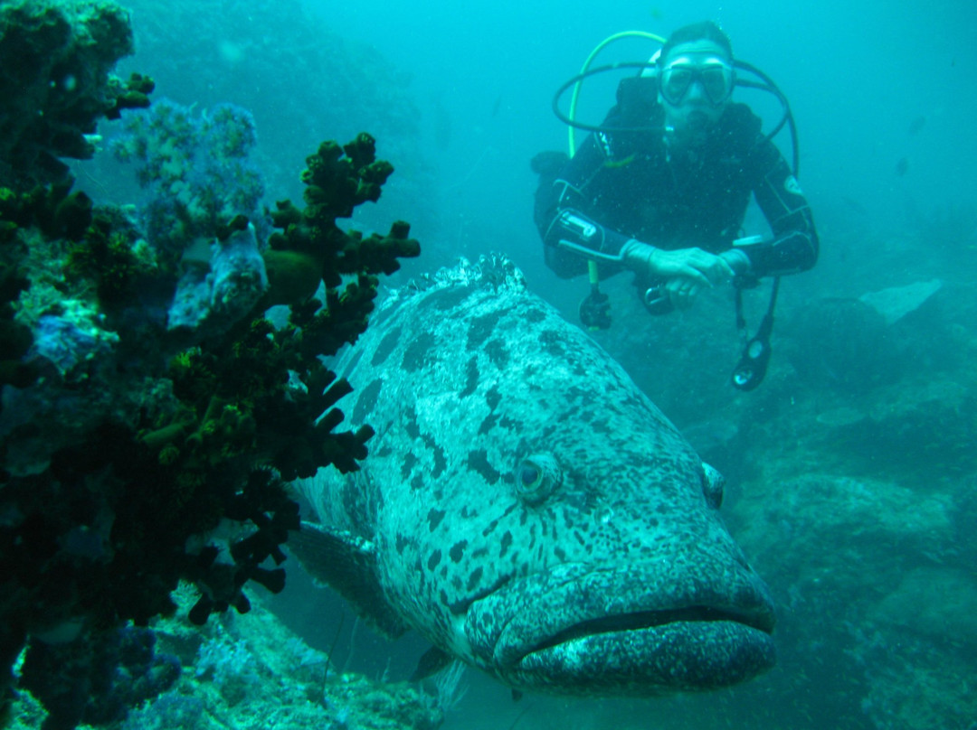 Andaman Bubbles-哈夫洛克岛必去景点