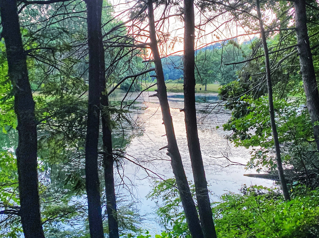 布里斯托尔旅游景点-Rockwell Park