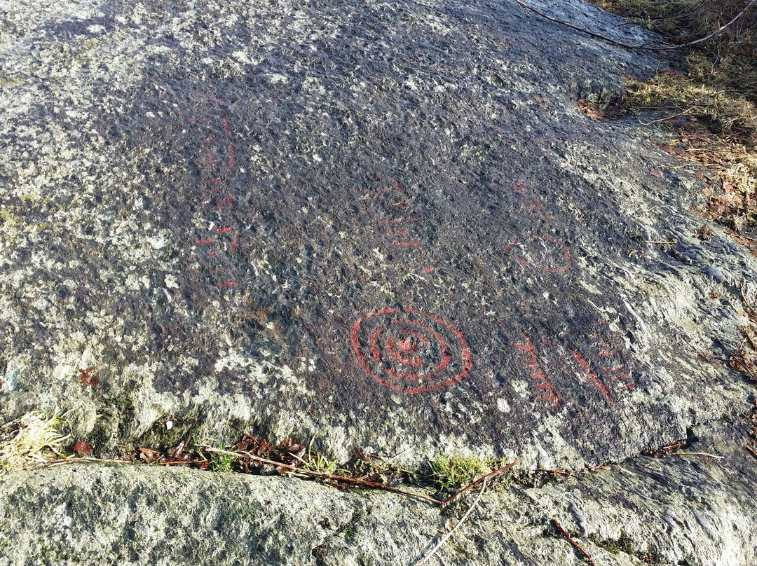 Helleristninger (petroglyphs) Austre Amøy景点图片