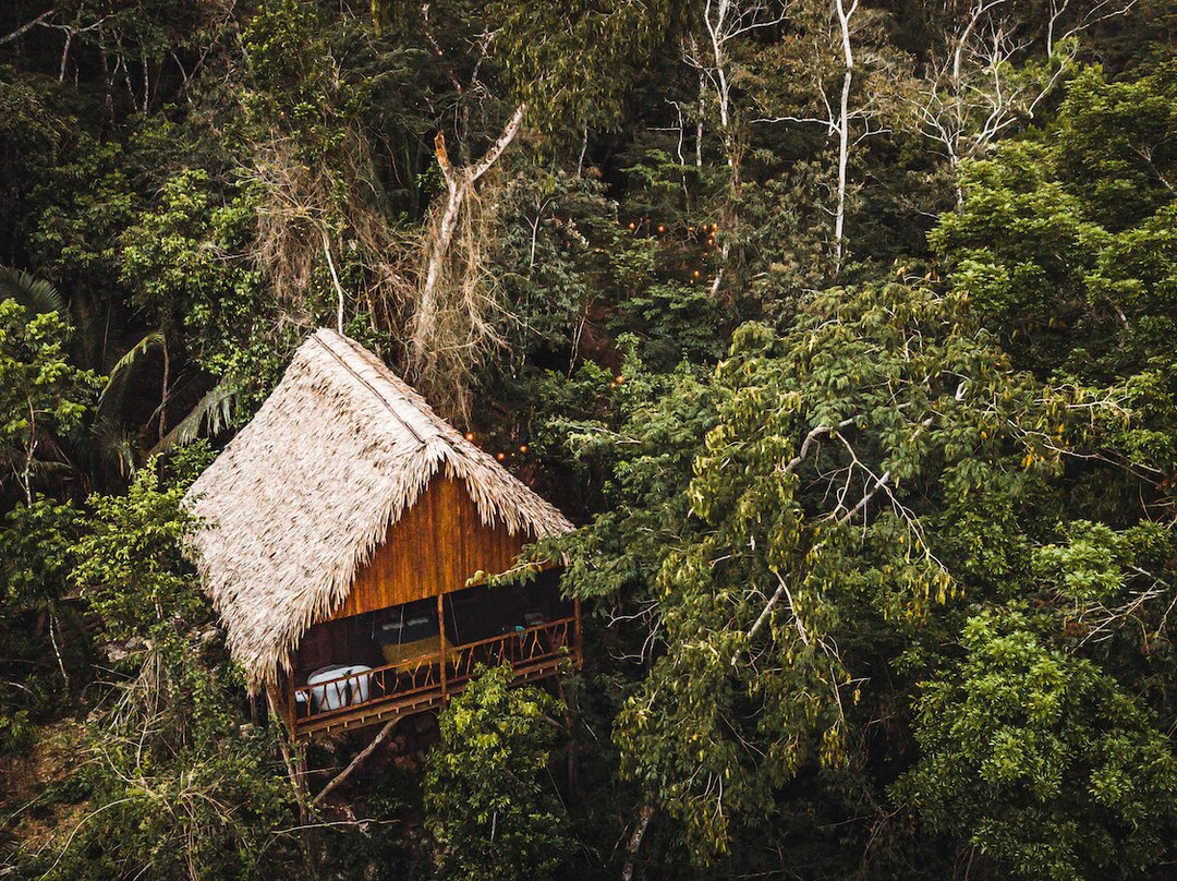 甜美歌曲丛林小屋酒店 - 穆奥诺度假村