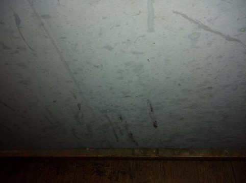 Spectre Cheltenham-切尔滕纳姆必去景点