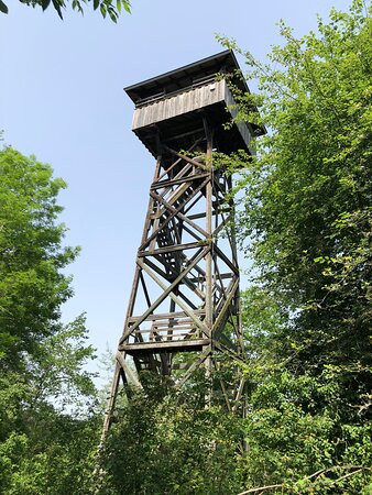 Mettnau-Turm景点图片