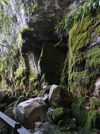 Moss Garden-Carnarvon National Park必去景点