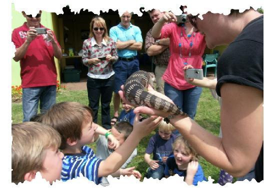 Animals in Wonderland-伊丽莎白港必去景点