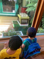 The Beechworth Honey Shop-比奇沃思必去景点