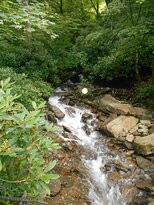 Appalachian Trail景点图片