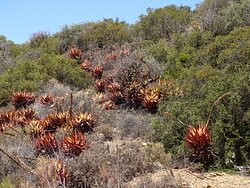 Montagu Nature Garden-蒙提古必去景点