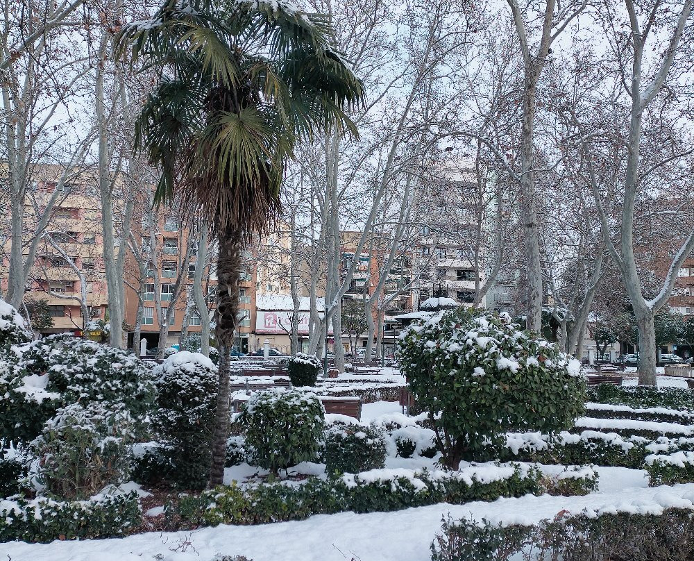 Los Jardinillos景点图片