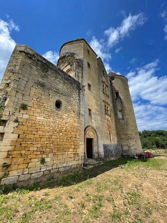 Château de Salignac景点图片