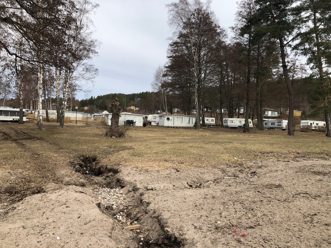 Rodtangen Camping