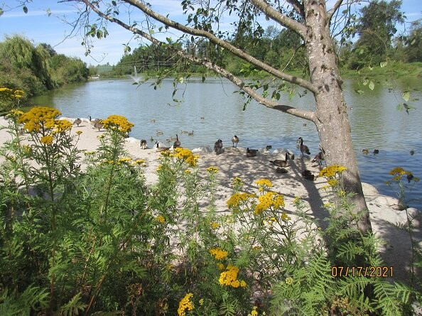 Brydon Lagoon-兰里市必去景点