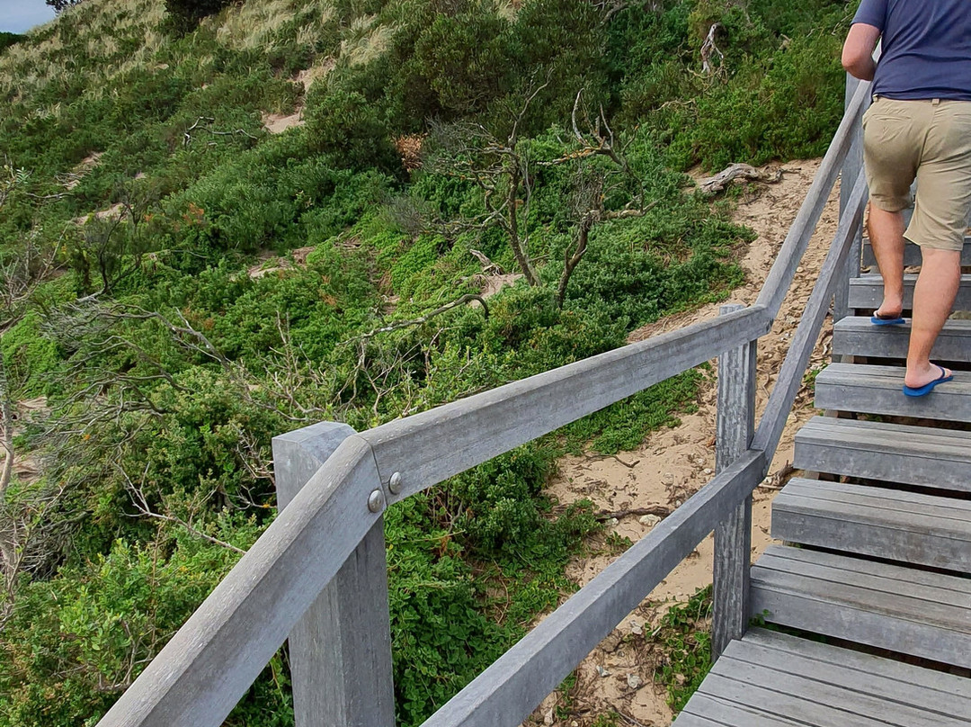 The Neck Lookout-North Bruny必去景点