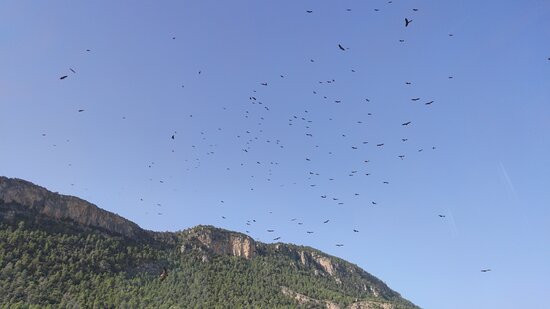 Observatorio De Aves Mas De Bunyol-Valderrobres必去景点