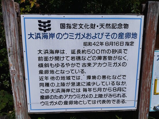 Hiwasa Chelonian Museum Caretta-美波町必去景点