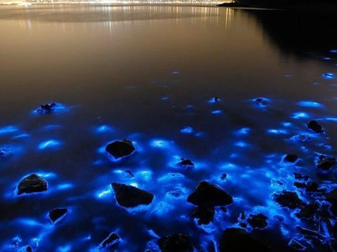 Adventours & Excursions Jamaica-蒙特戈贝必去景点