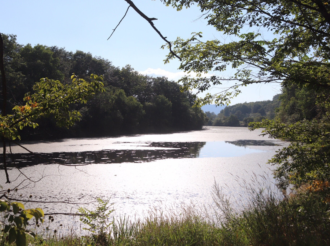 Chiebun Pond Park