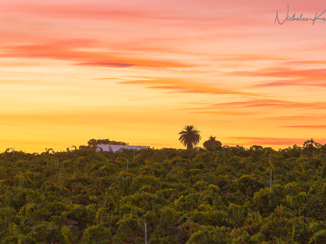 Clements旅游攻略图片