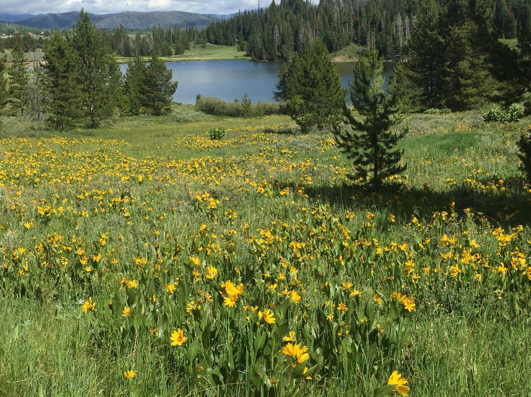 Clark旅游攻略图片