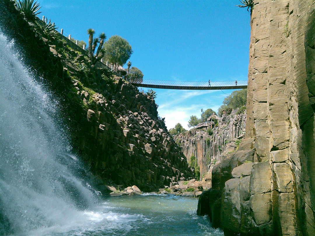 null-华斯卡德奥坎波