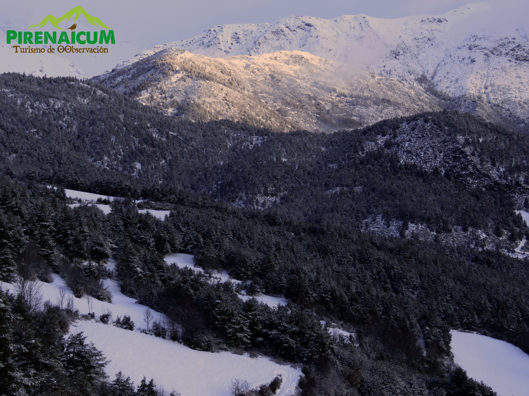 Montanuy旅游攻略图片