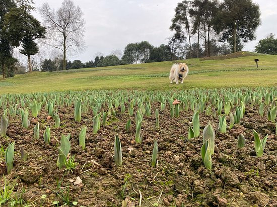 丹棱县酒店住宿-成都石象湖雅乐轩酒店