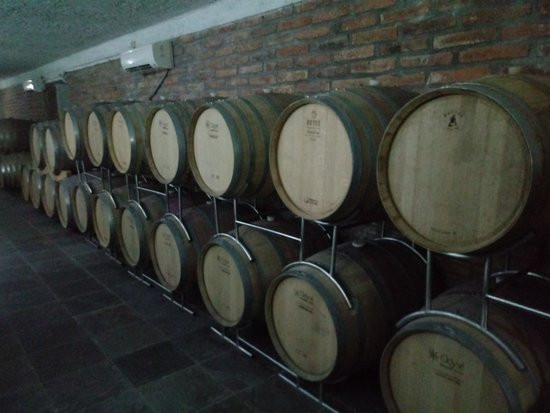 Bodega El Transito-卡法亚特必去景点