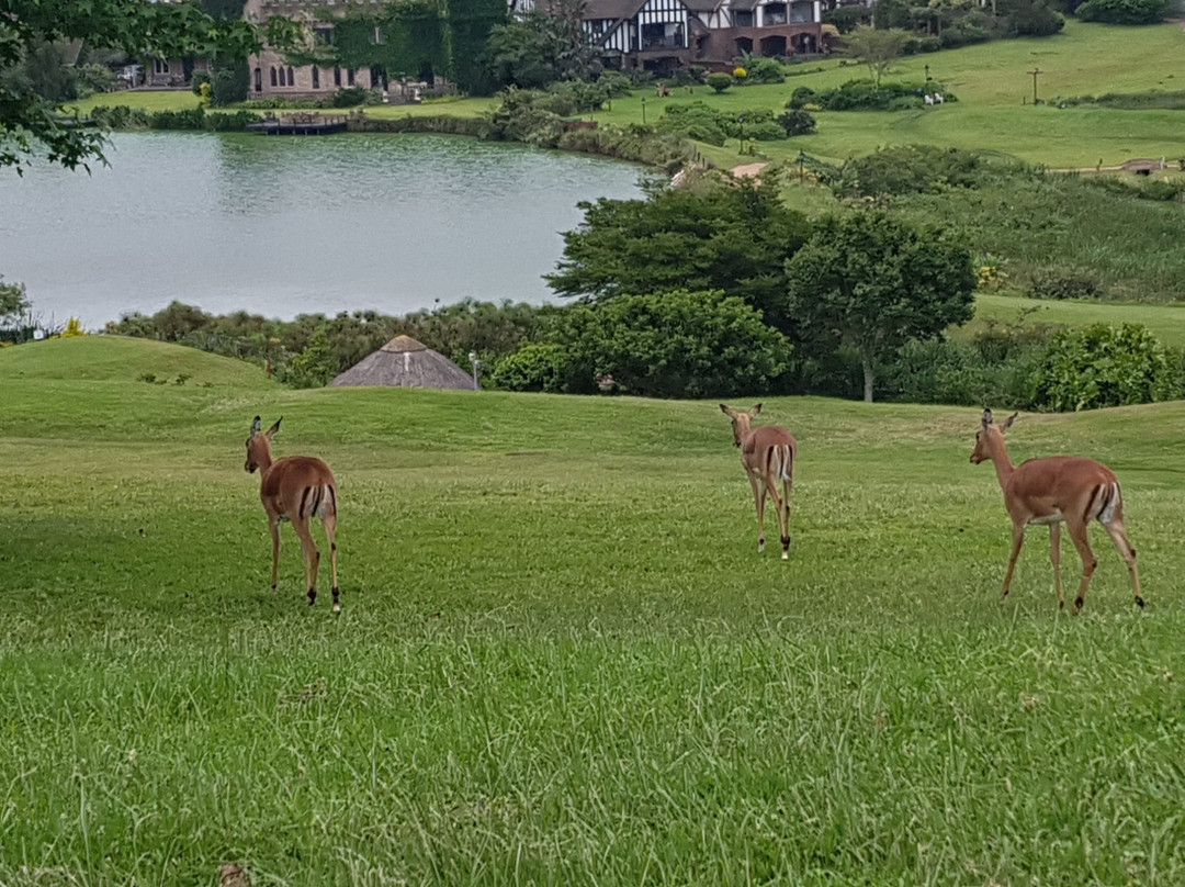Camelot Country Club-Hillcrest必去景点
