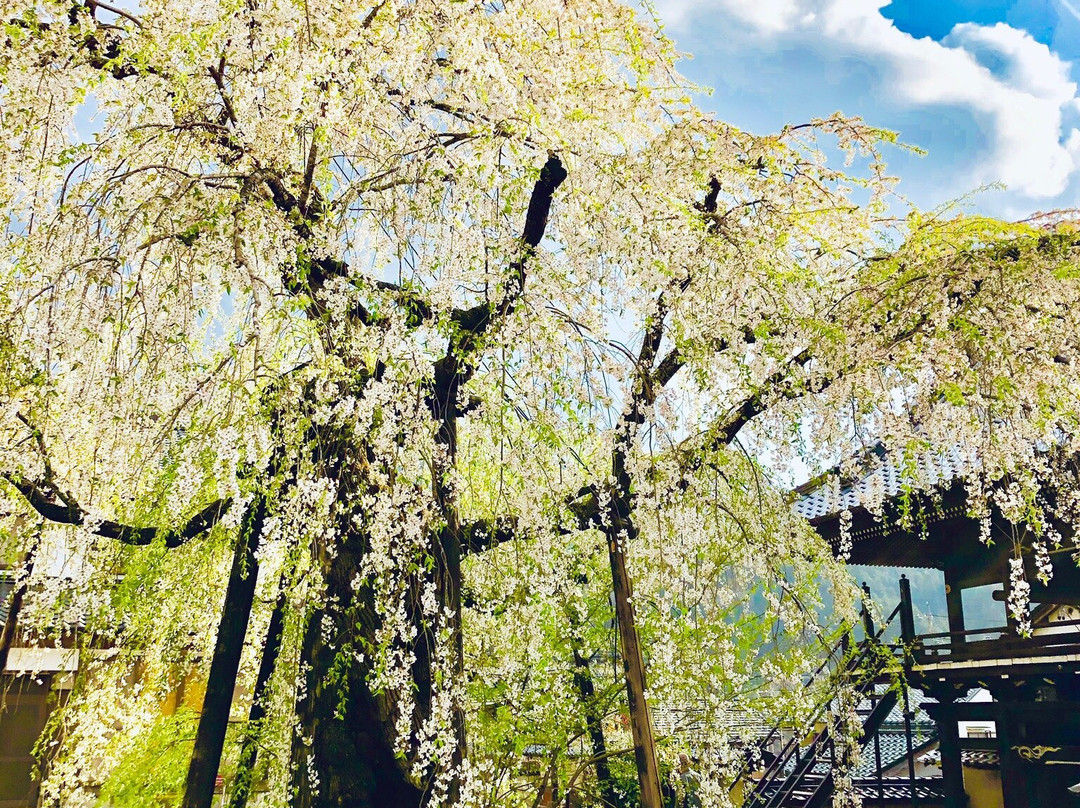 Zuiryuji Temple-丰田市必去景点