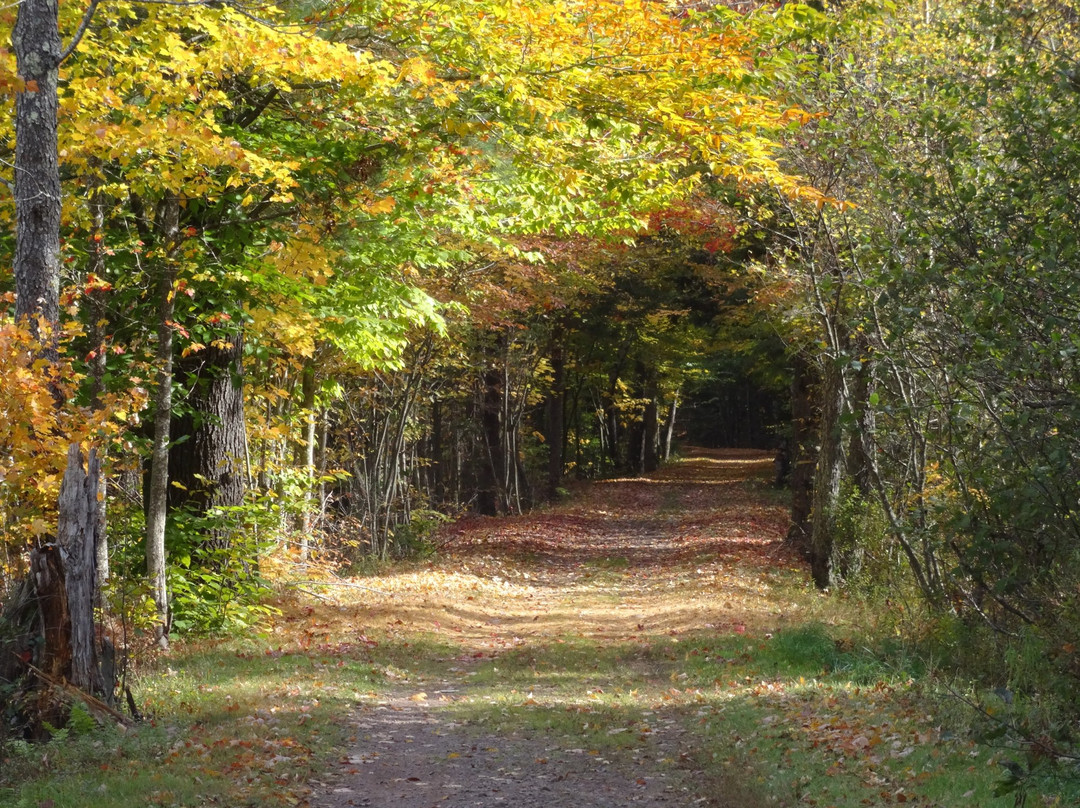 Huckleberry Rail Trail景点图片