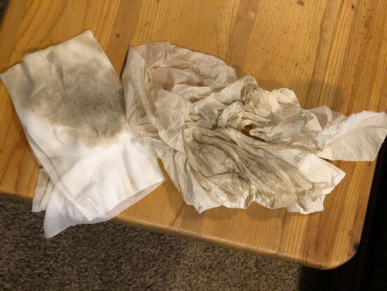 Lone Fir Resort主图