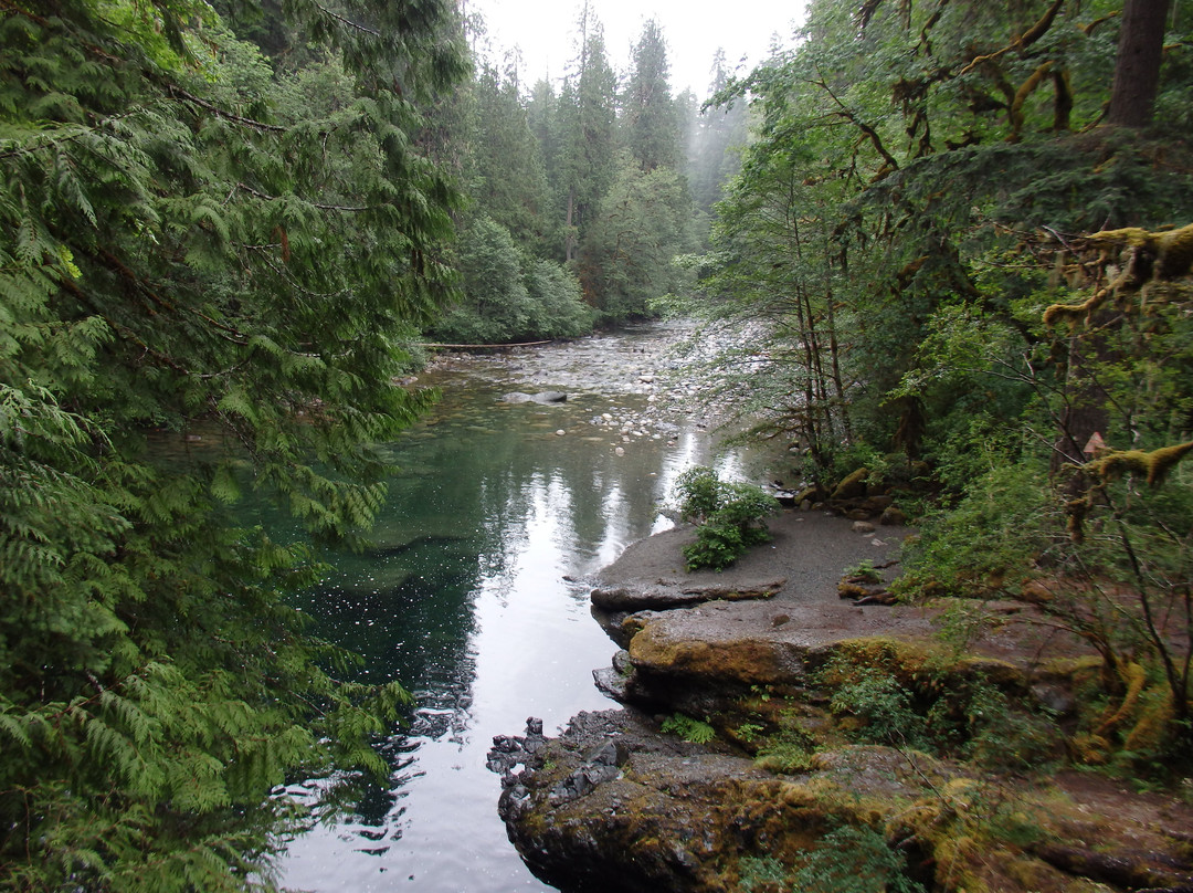 Englishman River Falls Provincial Park景点图片