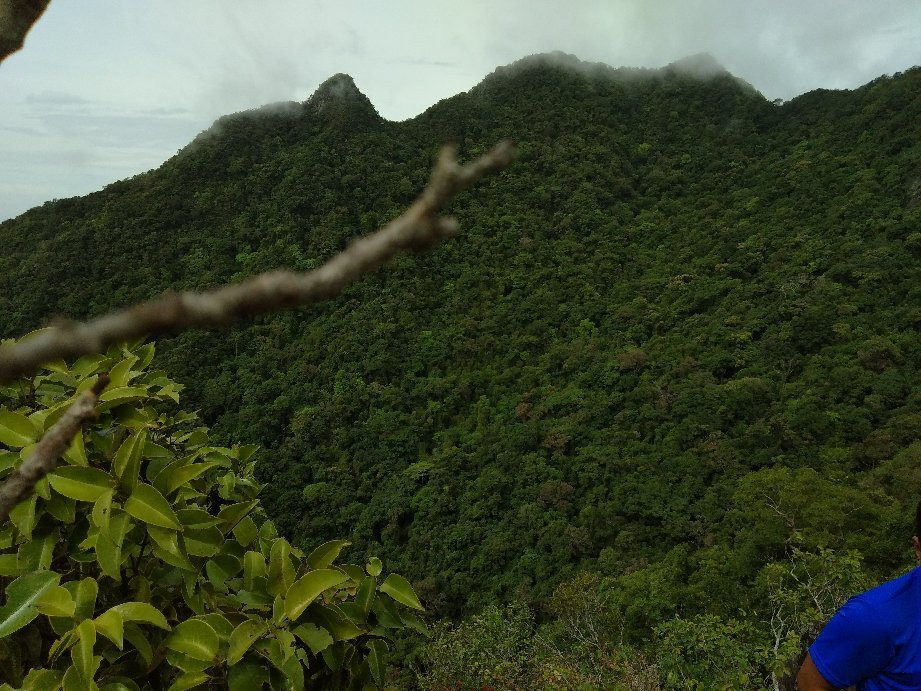Mount Arayat National Park景点图片