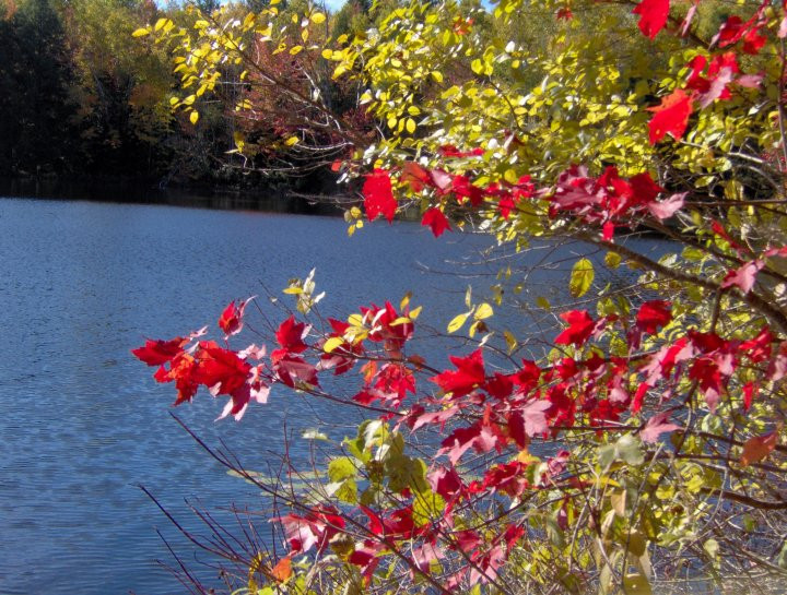 Freedom旅游攻略图片