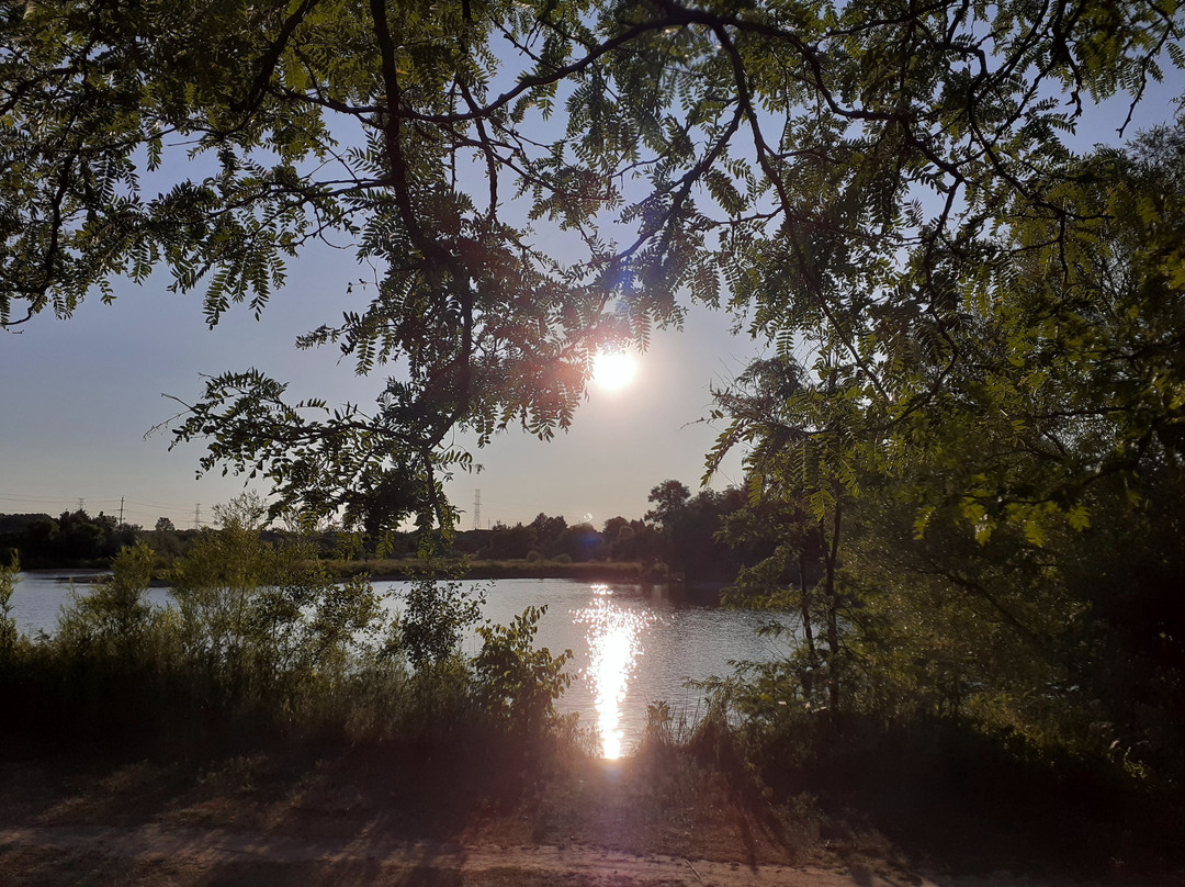 Columbia Lake Waterloo景点图片