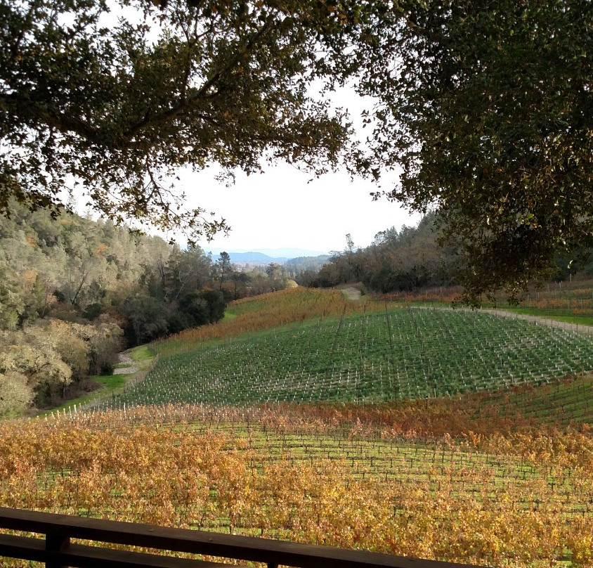 Fantesca Estate & Winery景点图片